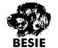 BESIE